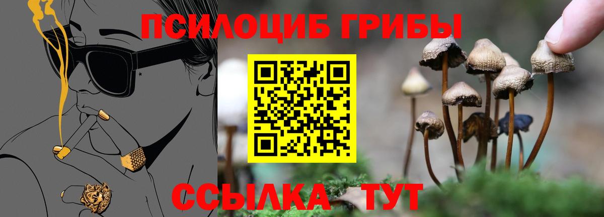 Галлюциногенные грибы GOLDEN TEACHER Светлоград